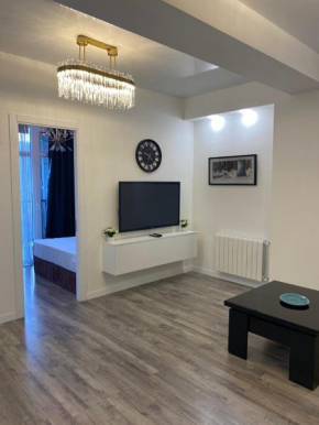 Luxury Apartment